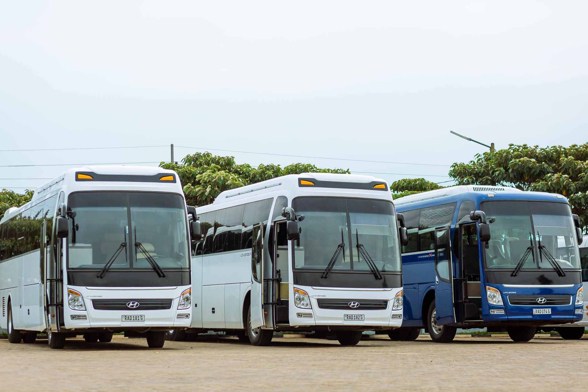 Fila de ônibus